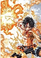   One Piece  13