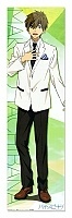  High Speed! Free! Starting Days Makoto Tachibana