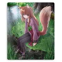    Spice and Wolf 45937