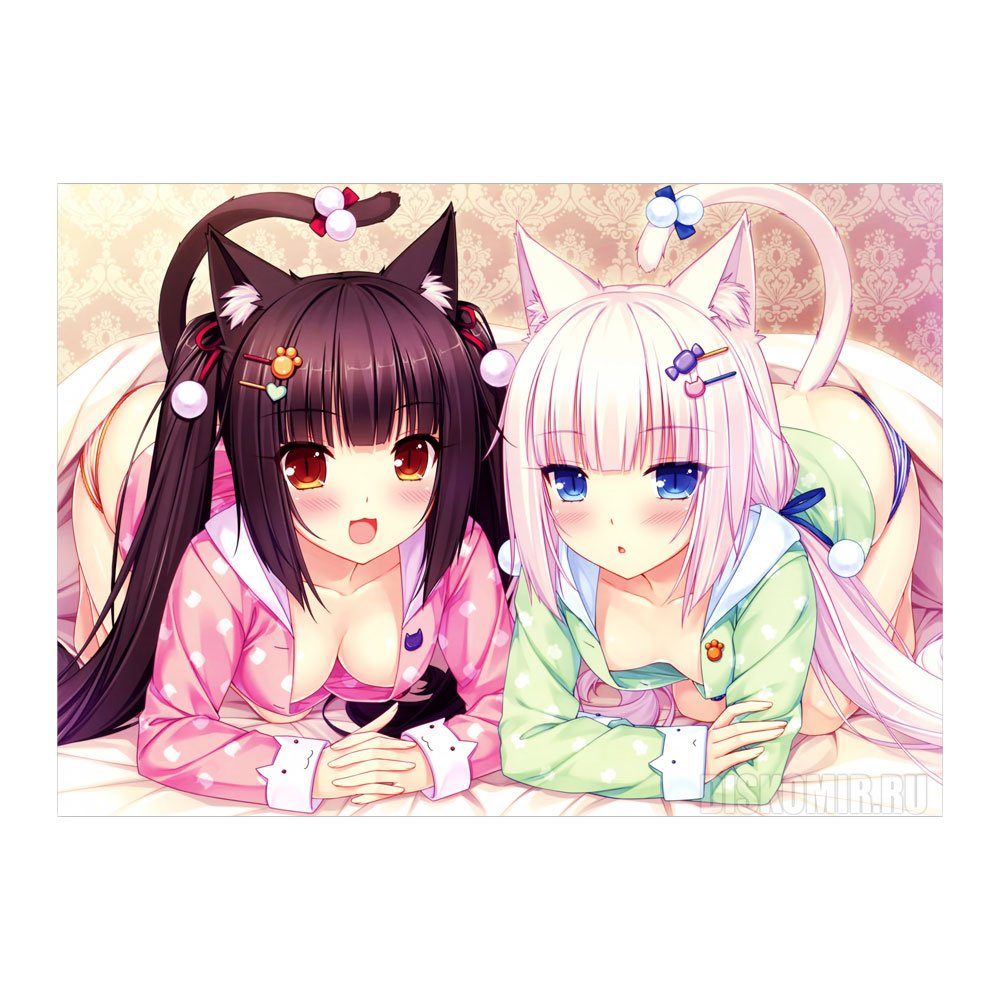 ������ �������� "������� ���" Vanilla � Chocola