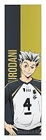    Haikyu!! - Koutarou Bokuto