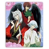    Kamisama Hajimemashita 313390