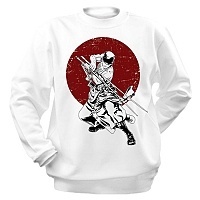   One Piece - Sword's Master