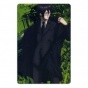 ������ ��������� ������������� Psycho-Pass 308428