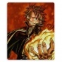 ������ ��� ����� Fairy Tail 310060