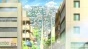 ����� �������� ����� / Idol Jihen [DVD]