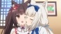 ����� ������� ��� / Nekopara OVA [DVD]