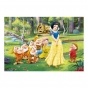 ���� Disney ���������� � ���� ������ (������ A3, 252 ������)