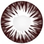 ���������� ���������� ����� Maxiy Girl Dandelion Chocolate #97