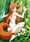 ������ �������� ������� �3 Spice and Wolf