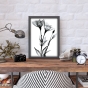 ����� �������� ��� ��������� - X-Ray Flowers