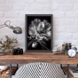 ����� �������� ��� ��������� - Black & White Flowers