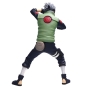 ������� SAV Kakashi Grandista