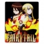������ ��� ����� Fairy Tail 310048