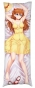 ���������� ��������� � �������� Evangelion - Asuka Langley