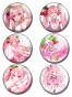 ������ �� ������ Vocaloid No.5 Sakura Miku