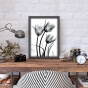 ����� �������� ��� ��������� - X-Ray Flowers