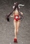 ������� Infinite Stratos: Houki Shinonono Bare Leg Bunny Ver.