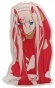 �������� ������ Darling in the Franxx - ���� 2 �2
