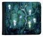 ������� � ���������� ��� ������ "Mononoke Hime" Kodama