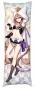 ���������� ��������� � �������� Honkai Impact - Pardofelis