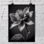 ����� �������� ��� ��������� - Black & White Flowers