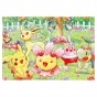 ���� Pokemon (������ A3, 252 ������)
