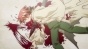 Mahou Sensei Negima!: Mou Hitotsu no Sekai (��������� ������� ������!)