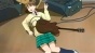 Code-E (���-�) MPEG4