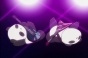 Nerima Daikon Brothers (������ ������ ������) MPEG4