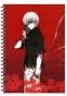 ������� � ������ A5 Tokyo Ghoul / ��������� ������