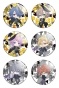 ����� ������� ������� "Hypnosis Mic" No.1