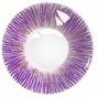 ���������� ���������� ����� Maxiy Girl Sunny Purple #1