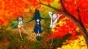 Magimoji Rurumo (��������� ������) HD