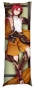���������� ��������� � �������� Genshin Impact - Shikanoin Heizou