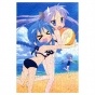 ���� Lucky Star (������ A3, 252 ������) 67254