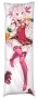���������� � �������� ����������� ������ - Tanaka Hime