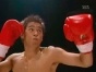 Punch (����)