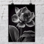 ����� �������� ��� ��������� - Black & White Flowers