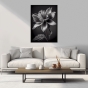 ����� �������� ��� ��������� - Black & White Flowers