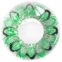 ���������� ���������� ����� Maxiy Girl Donuts Green #22