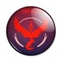 ������ Pokemon GO - Team Valor