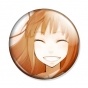������ ������� � �������� - Holo
