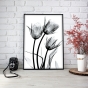 ����� �������� ��� ��������� - X-Ray Flowers