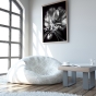 ����� �������� ��� ��������� - Black & White Flowers