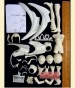 Purom 1/7 FG2674