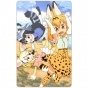 ������ ��������� ������������� ������-�������� - Serval, Common Raccoon � Fennec