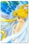������ ��������� ������������� Bishoujo Senshi Sailor Moon 304830
