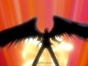 Angel's Feather (���� ������)