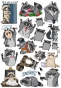 �������� Funny Raccoons